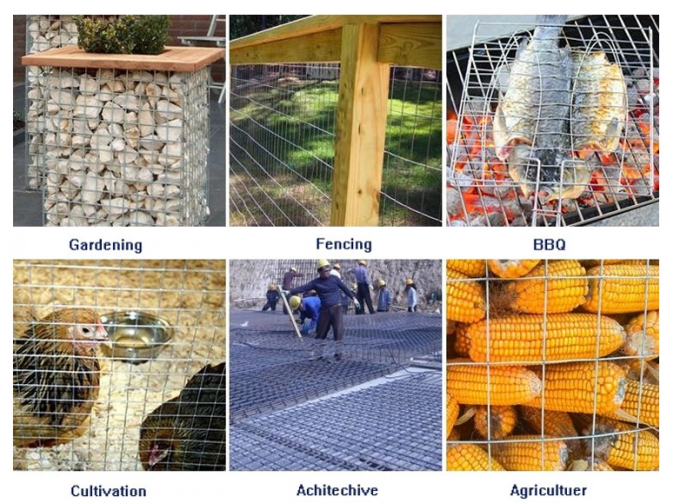 0.9 মিমি 1/2 ইঞ্চি 1 মি প্রশস্ত স্টেইনলেস স্টীল dedালাই তারের জাল 1